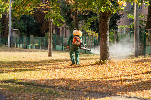 Insect Control in Leetonia, OH